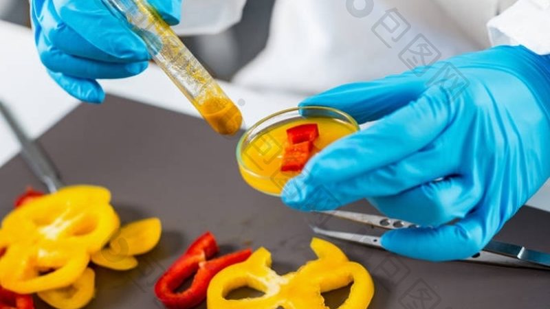家庭预制菜，价格与价值的平衡之道